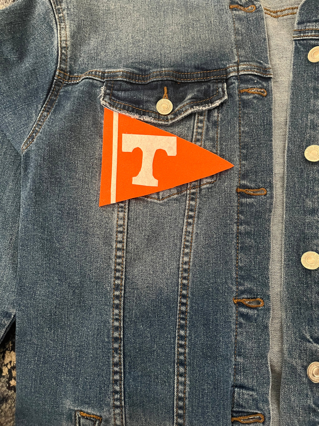 Tennessee Volunteers- the Crockett