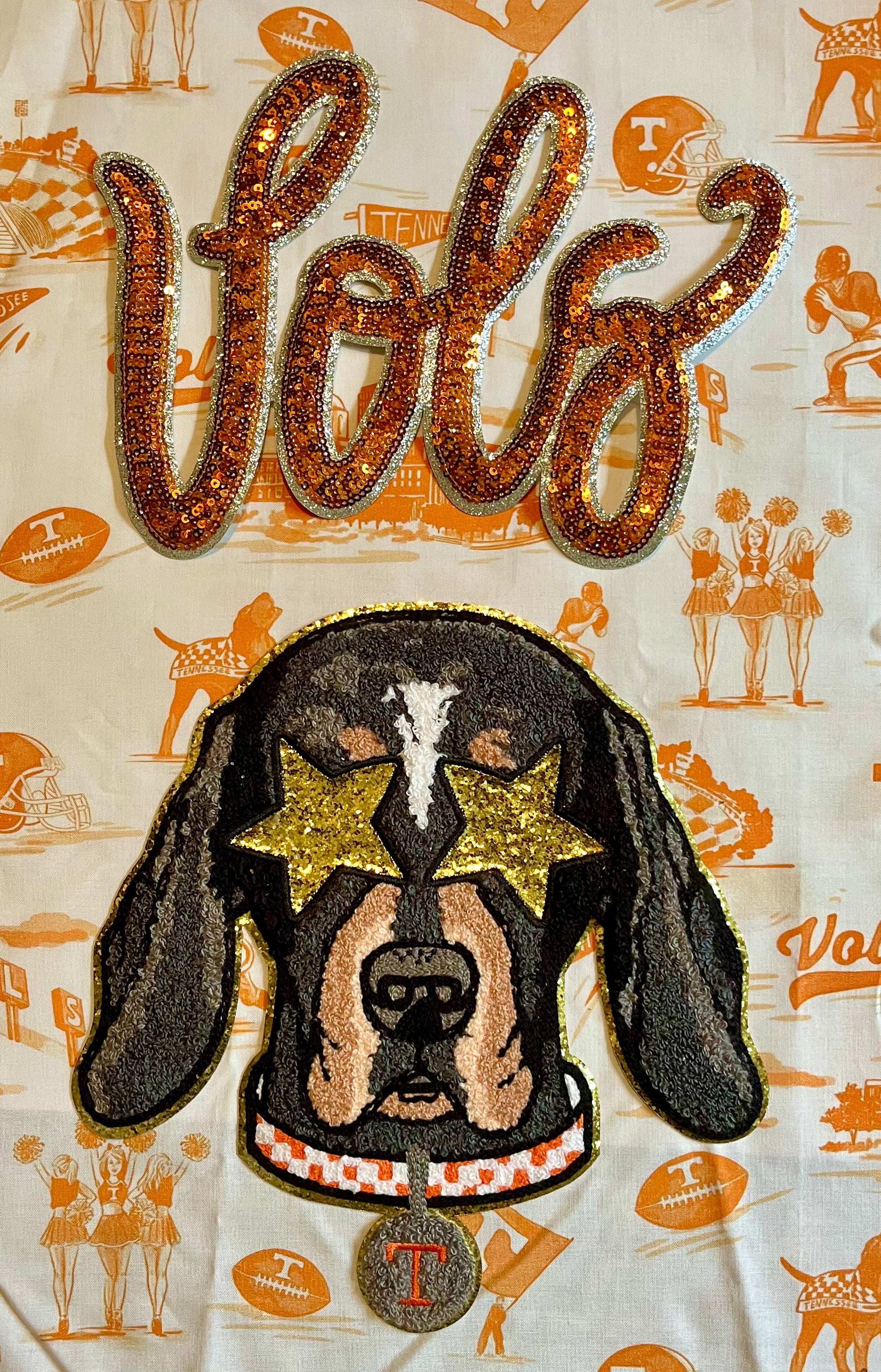 Tennessee Volunteers- the Crockett