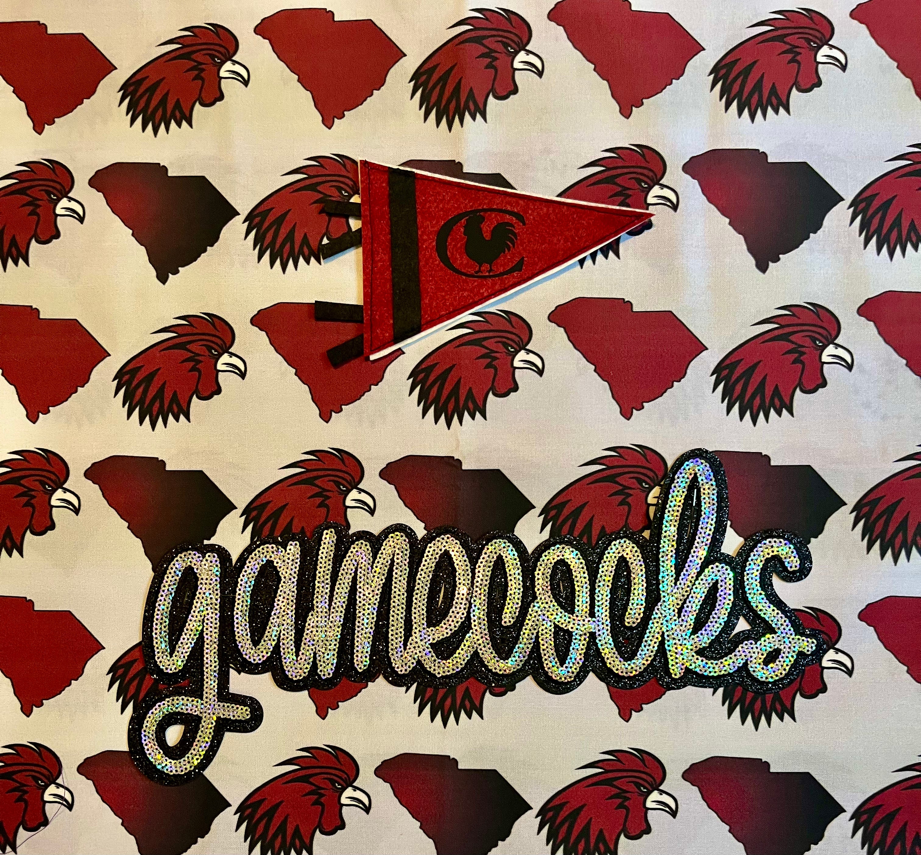 South Carolina Gamecocks - the Caroline